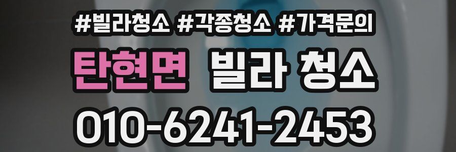 탄현면 빌라 청소