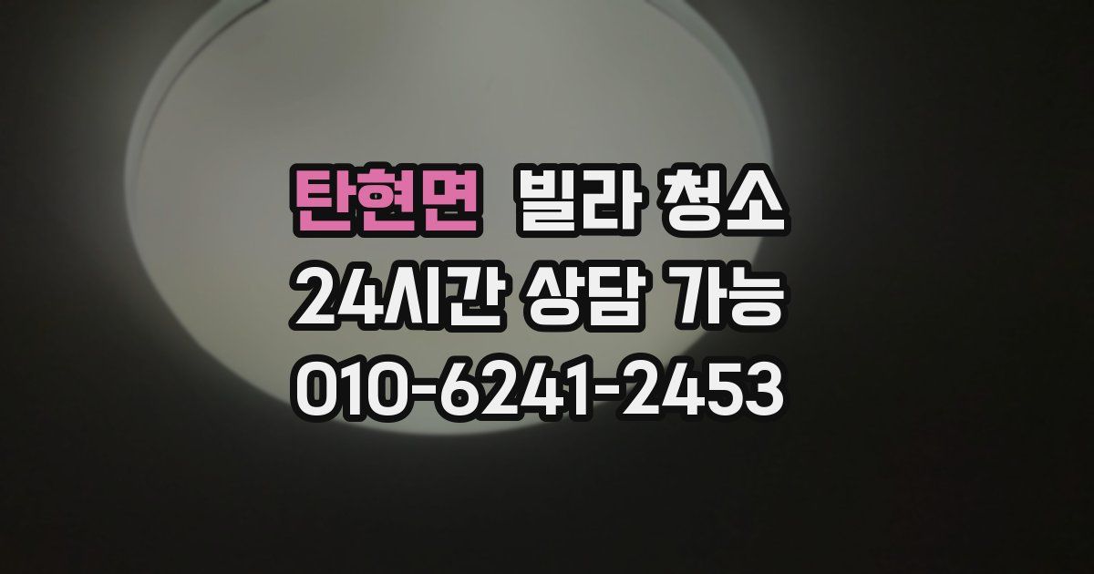 탄현면 빌라 청소