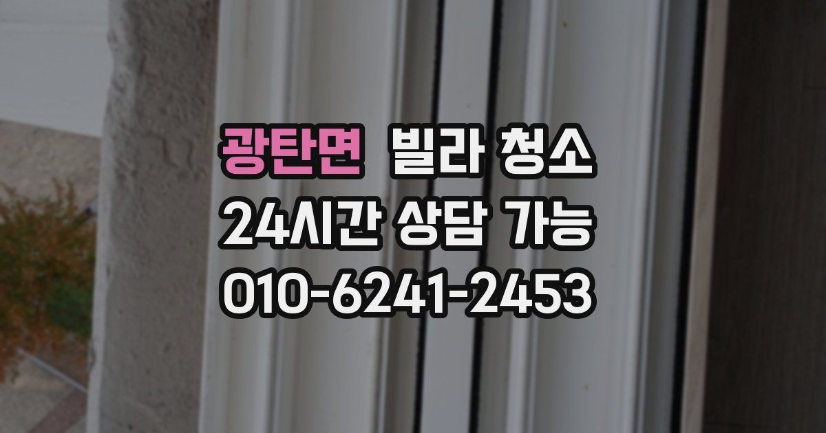 광탄면 빌라 청소