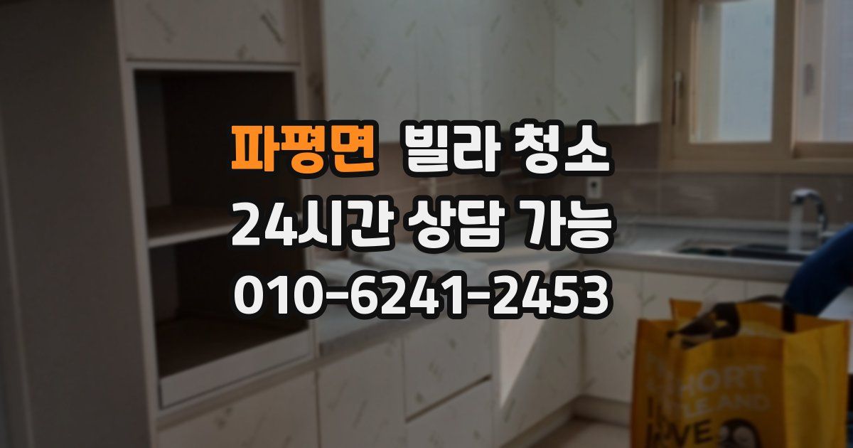 파평면 빌라 청소