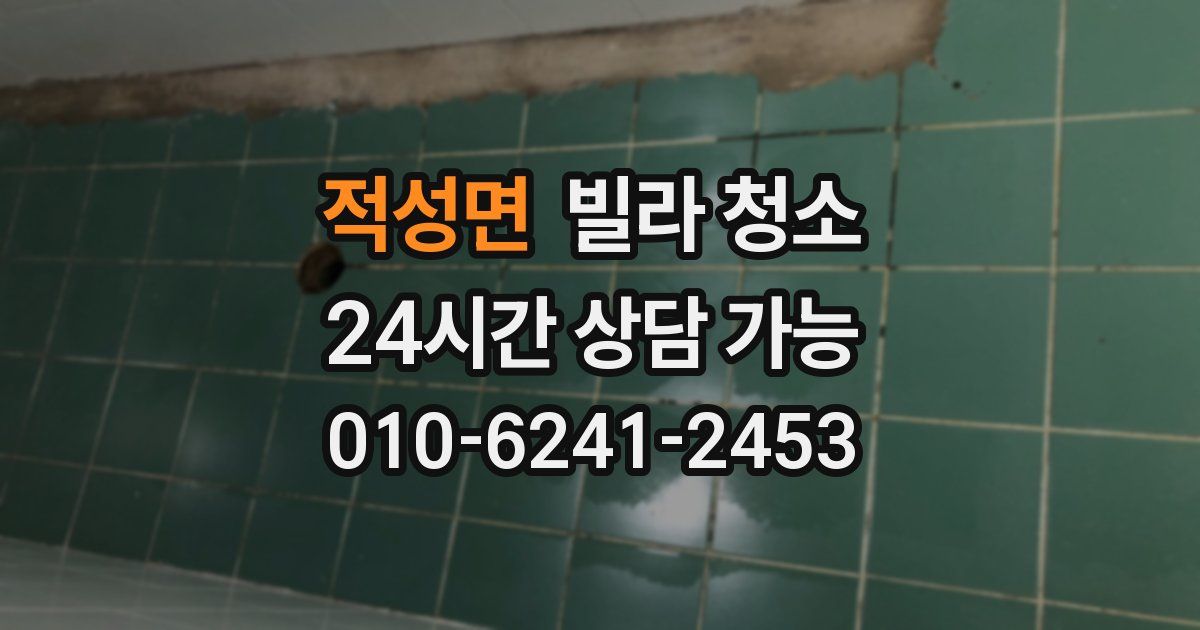 적성면 빌라 청소