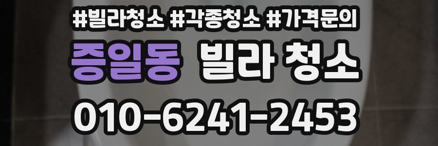 증일동 빌라 청소