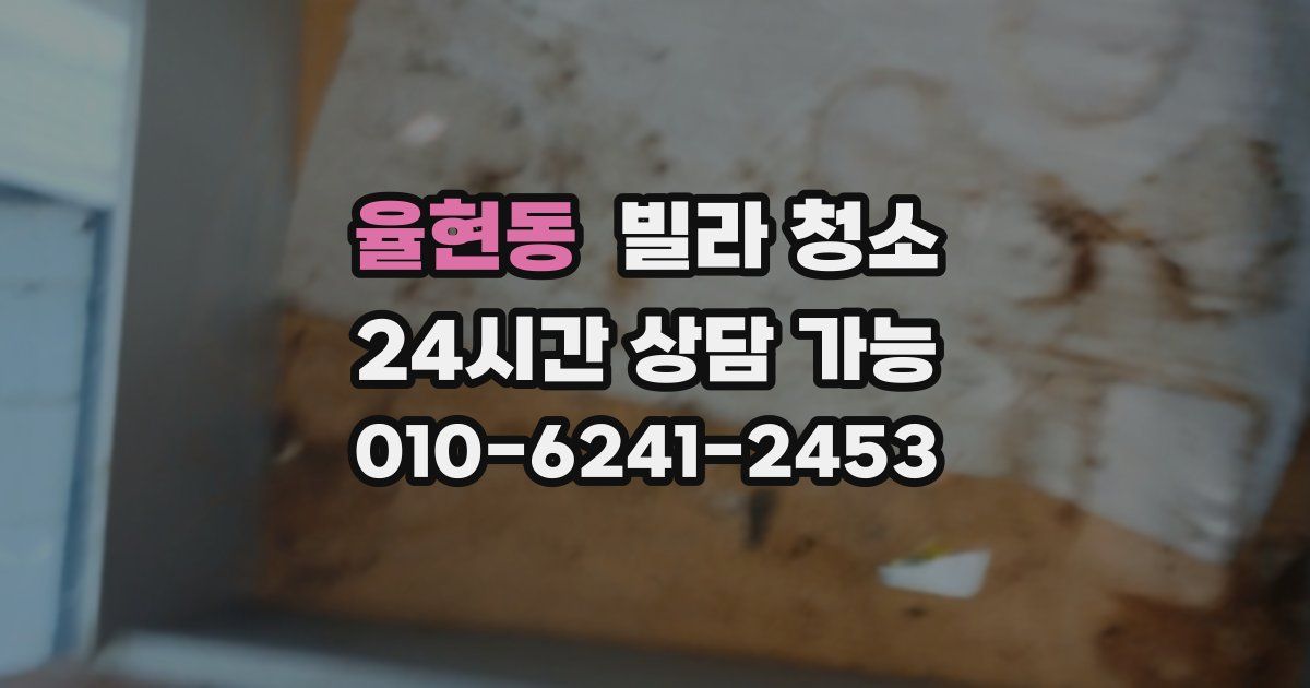 율현동 빌라 청소