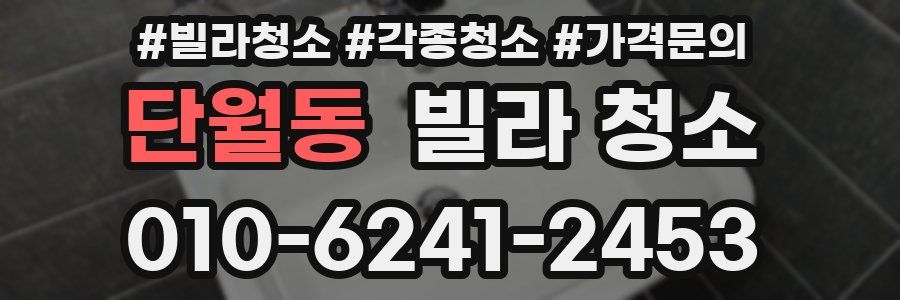 단월동 빌라 청소