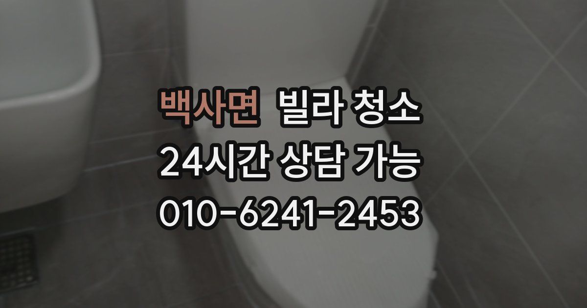 백사면 빌라 청소