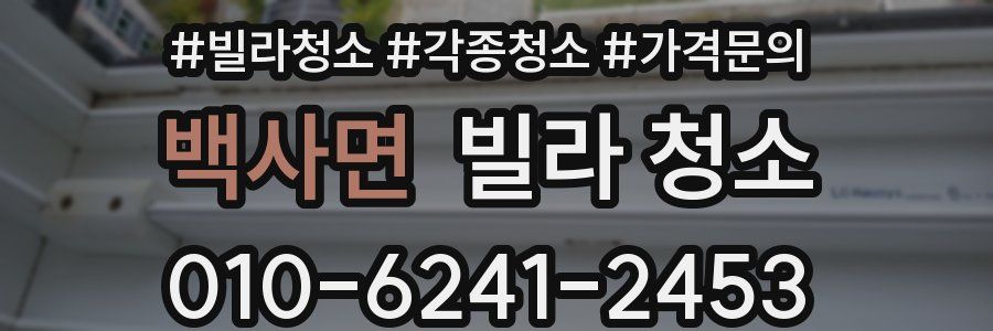 백사면 빌라 청소