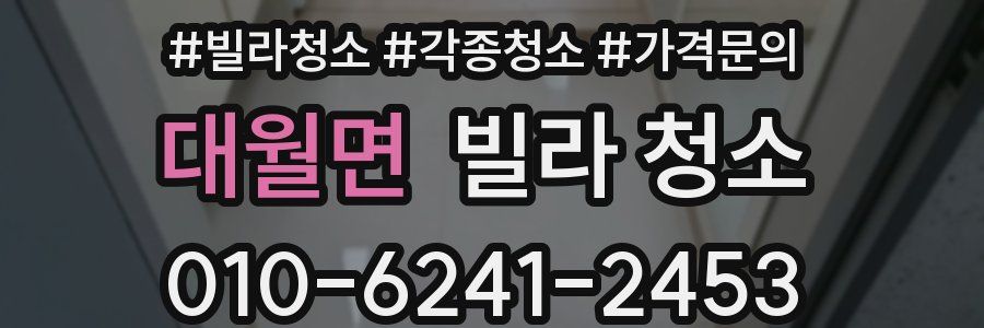 대월면 빌라 청소