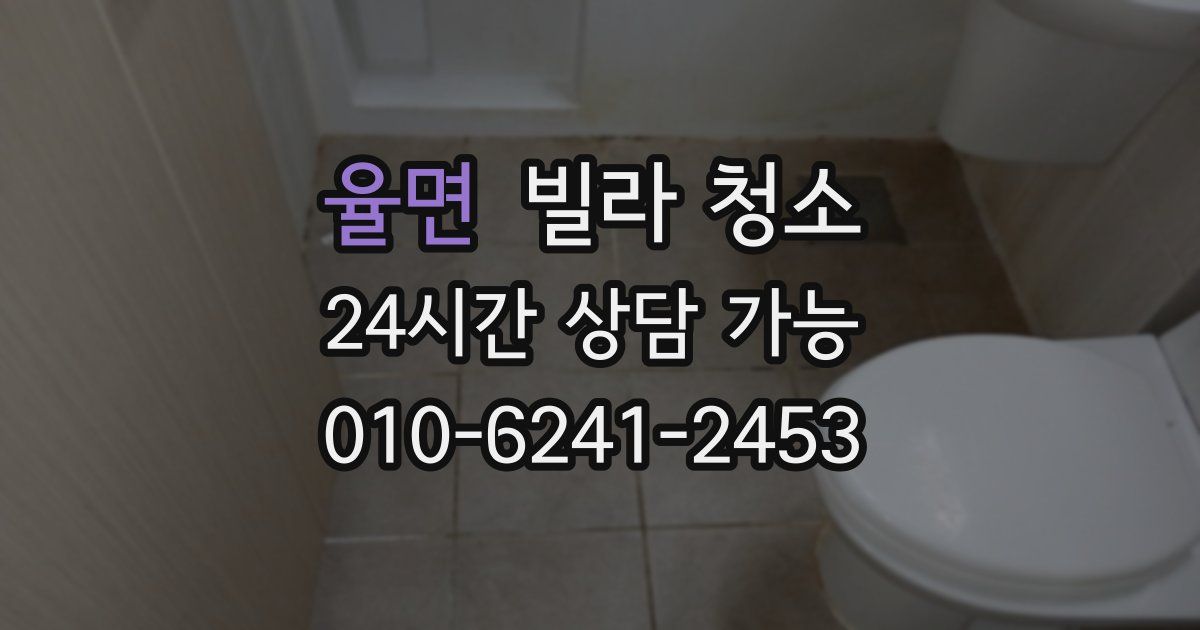 율면 빌라 청소