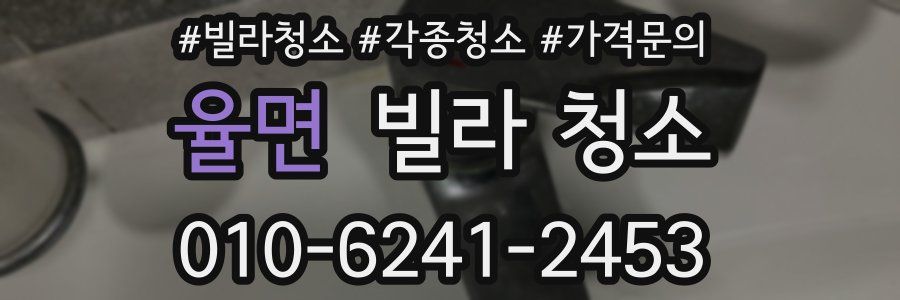 율면 빌라 청소