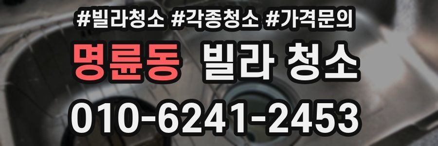 명륜동 빌라 청소