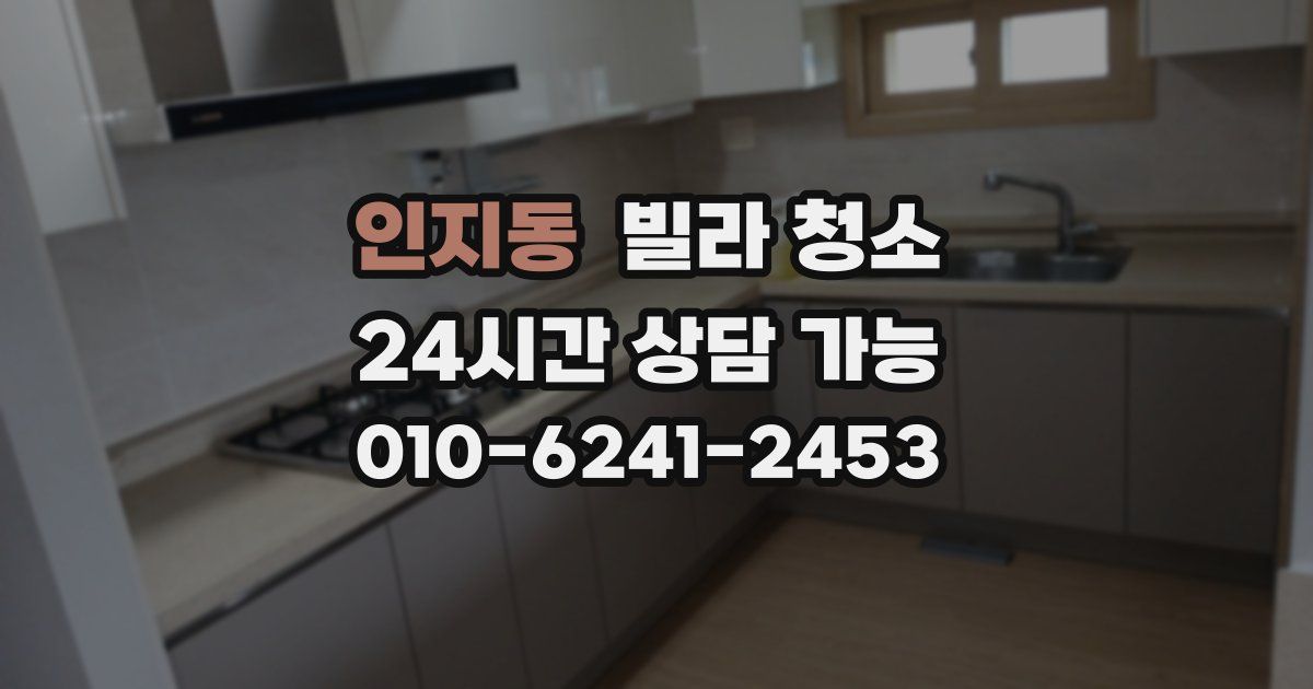 인지동 빌라 청소