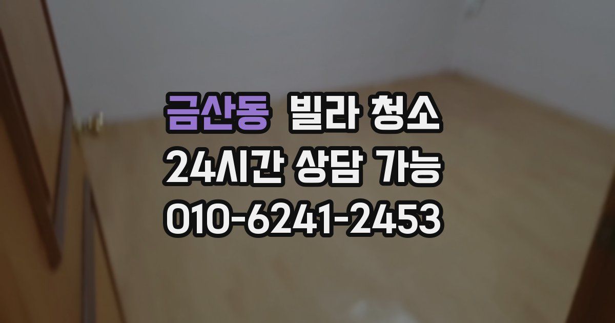 금산동 빌라 청소