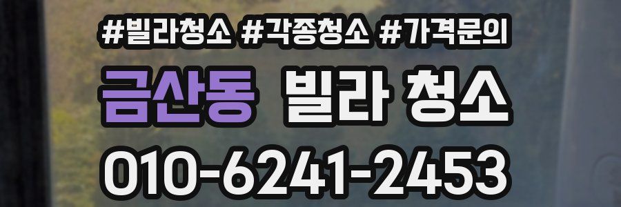 금산동 빌라 청소