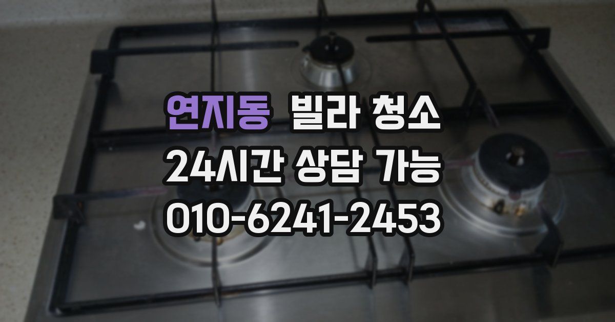 연지동 빌라 청소