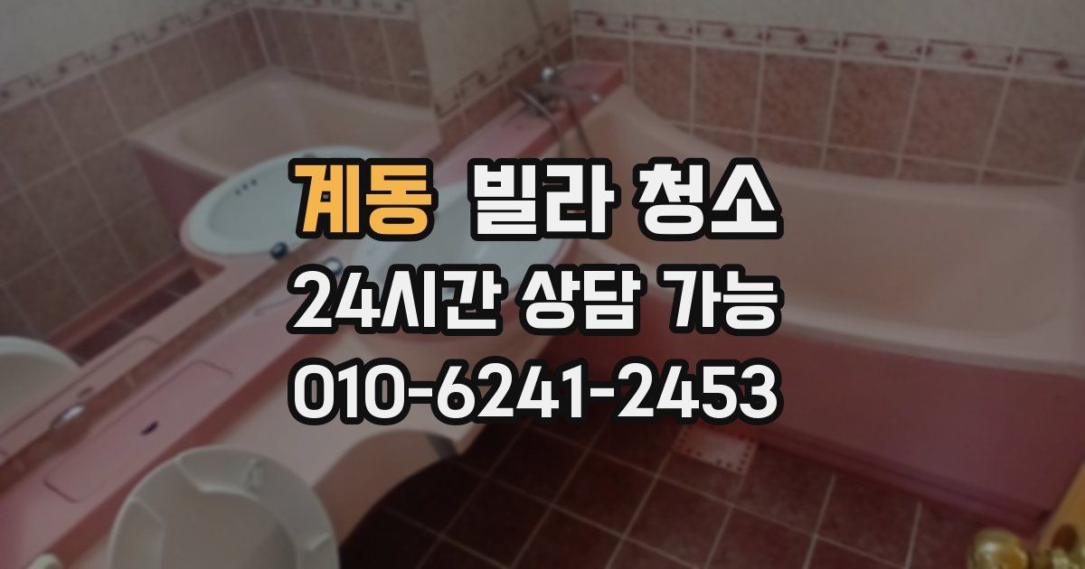 계동 빌라 청소