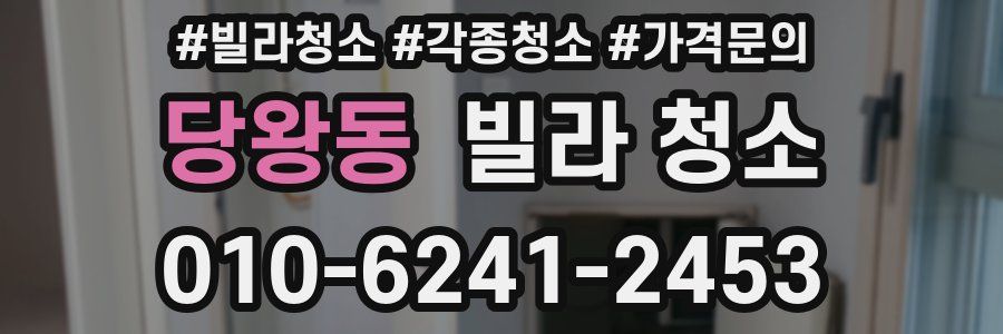 당왕동 빌라 청소
