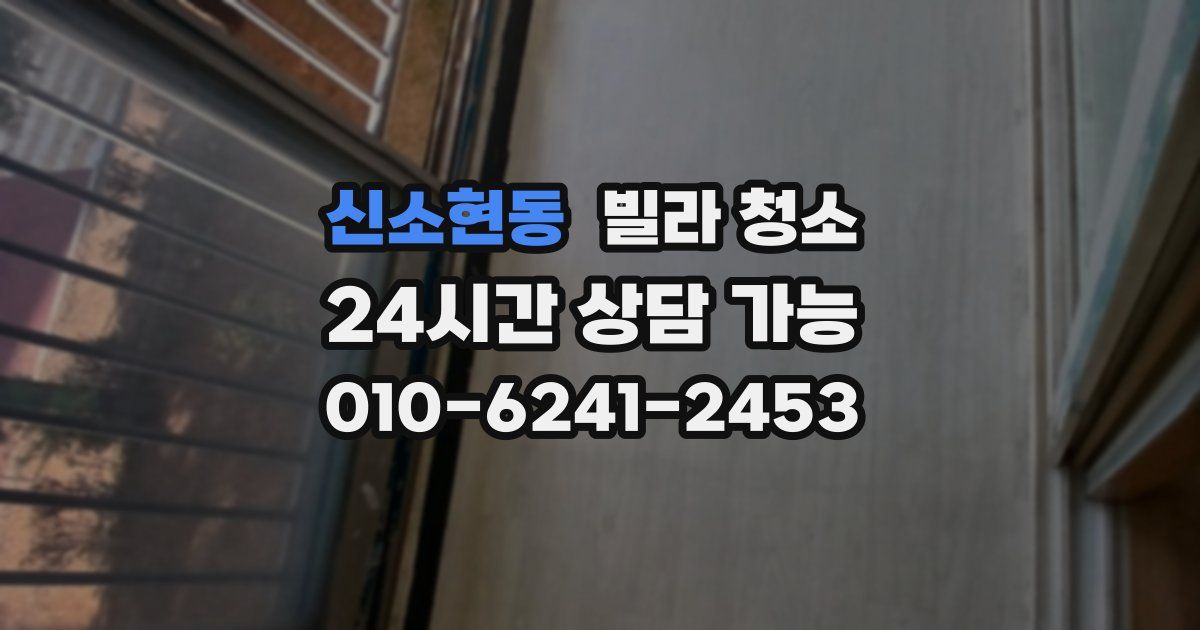 신소현동 빌라 청소