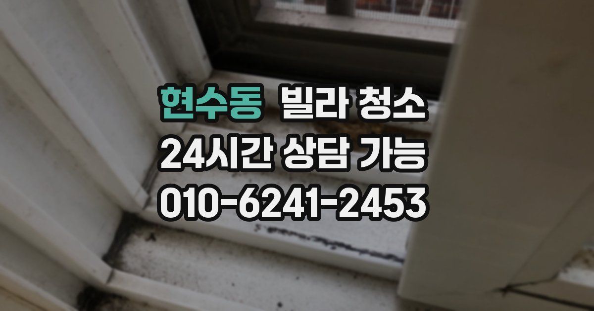 현수동 빌라 청소