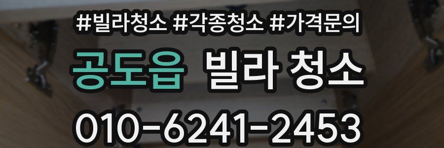 공도읍 빌라 청소