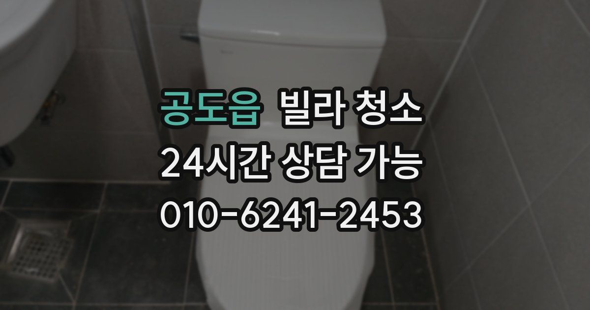 공도읍 빌라 청소