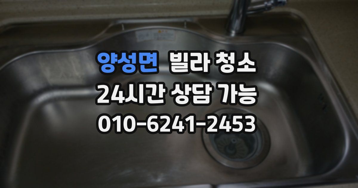 양성면 빌라 청소