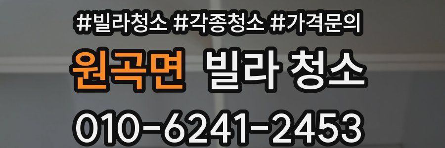 원곡면 빌라 청소