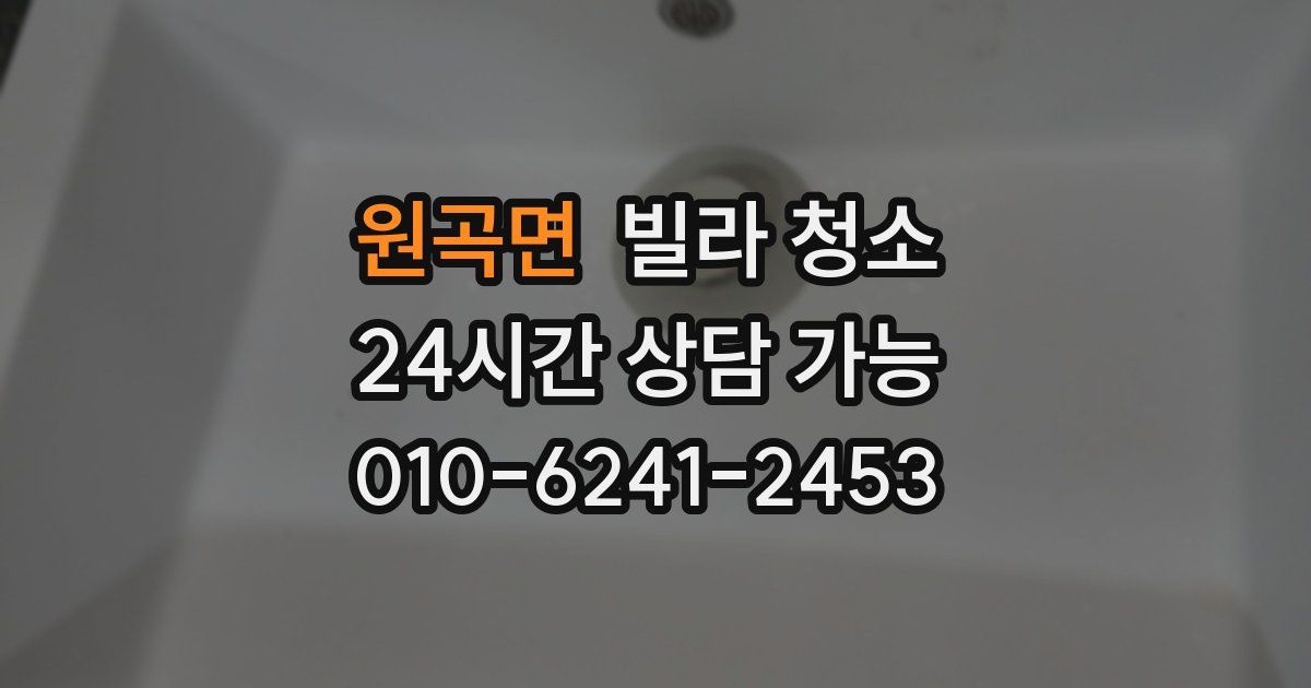 원곡면 빌라 청소