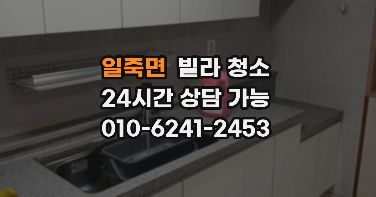 일죽면 빌라 청소