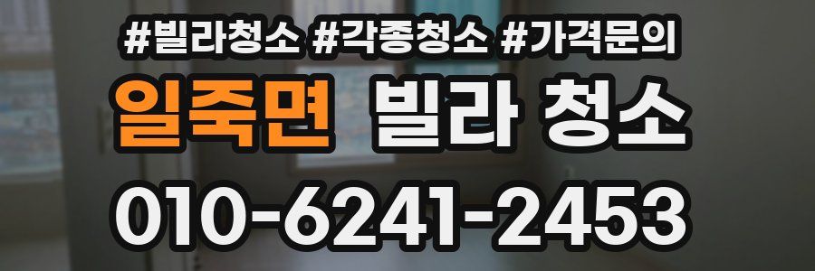 일죽면 빌라 청소