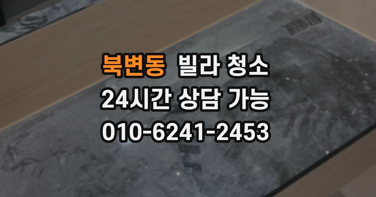 북변동 빌라 청소