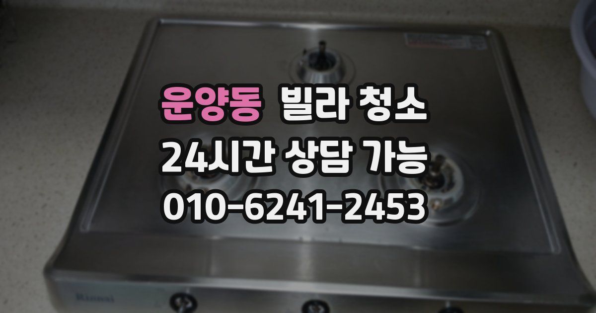 운양동 빌라 청소