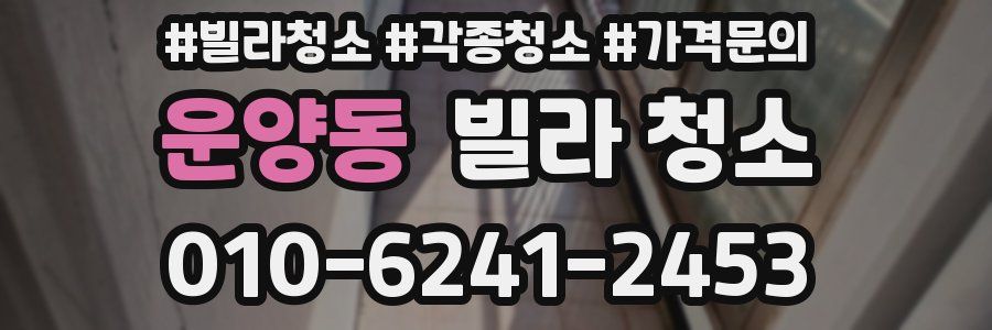 운양동 빌라 청소