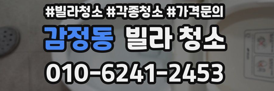 감정동 빌라 청소