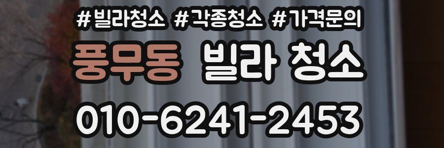 풍무동 빌라 청소