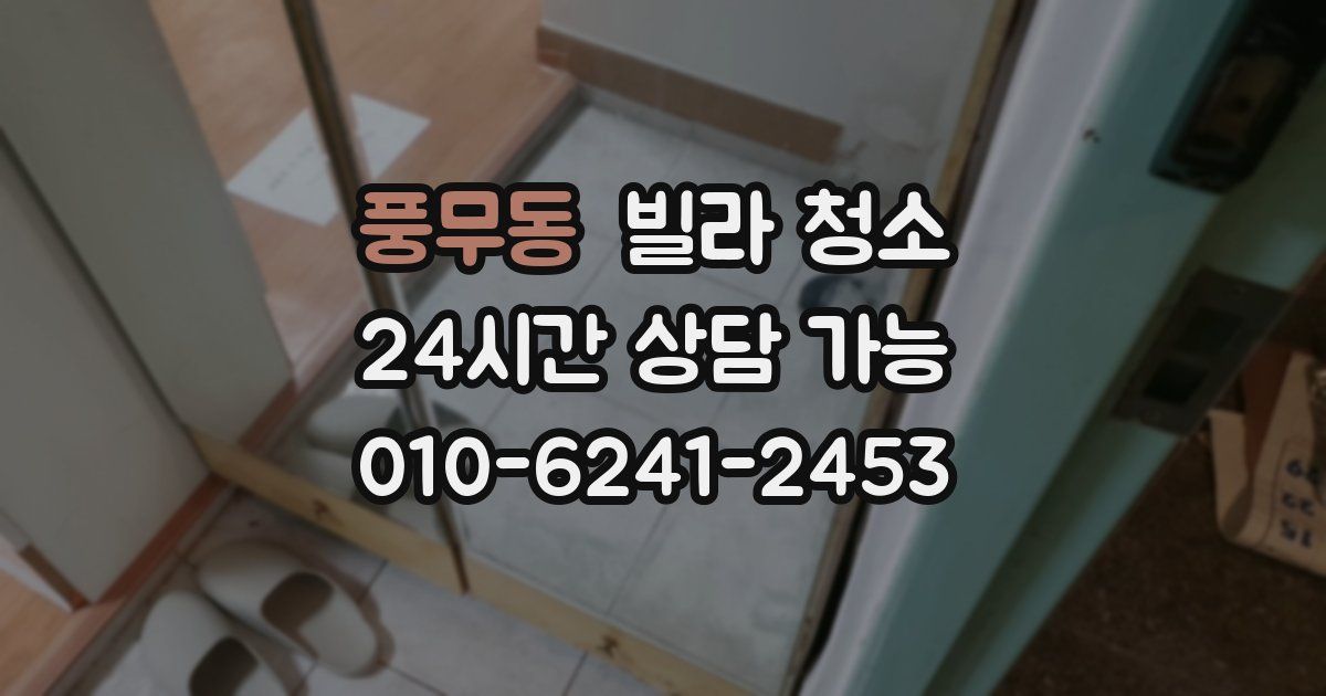 풍무동 빌라 청소