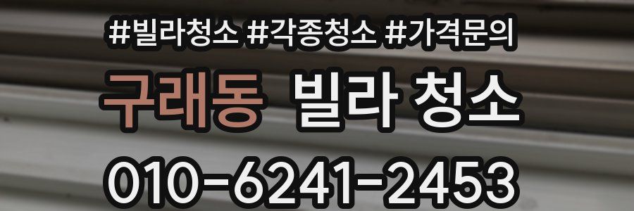 구래동 빌라 청소