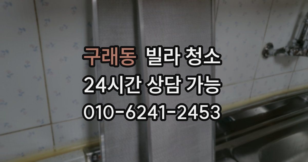 구래동 빌라 청소