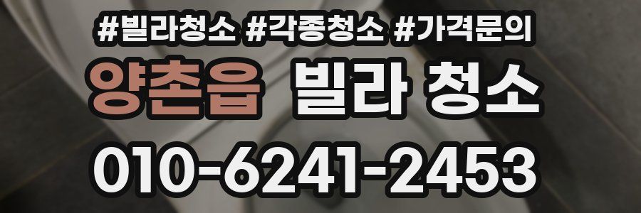 양촌읍 빌라 청소