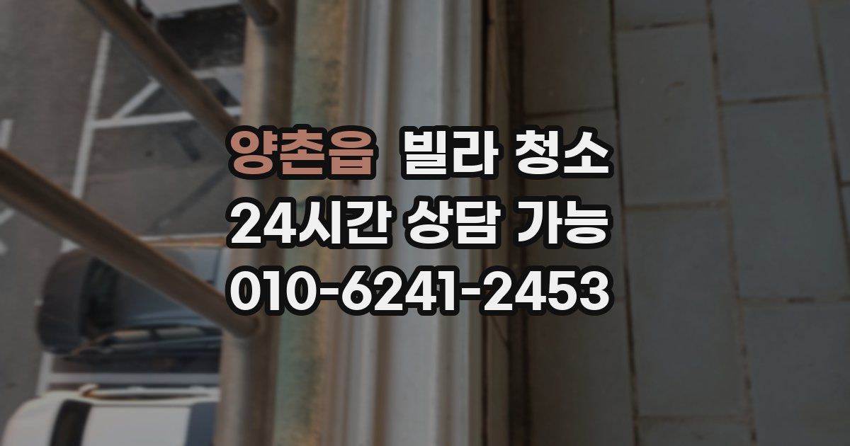 양촌읍 빌라 청소