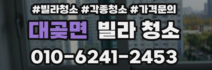대곶면 빌라 청소