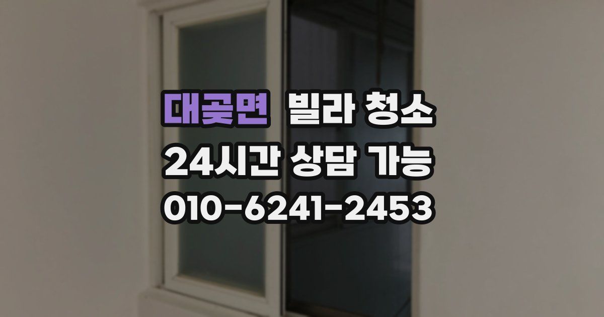 대곶면 빌라 청소