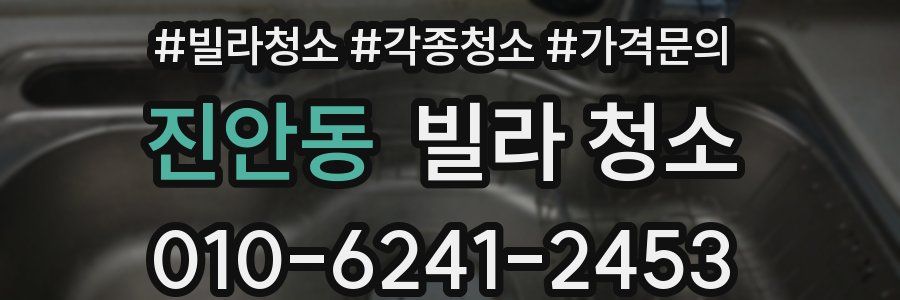 진안동 빌라 청소