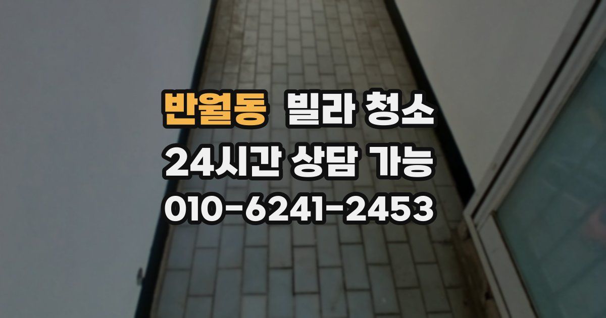 반월동 빌라 청소