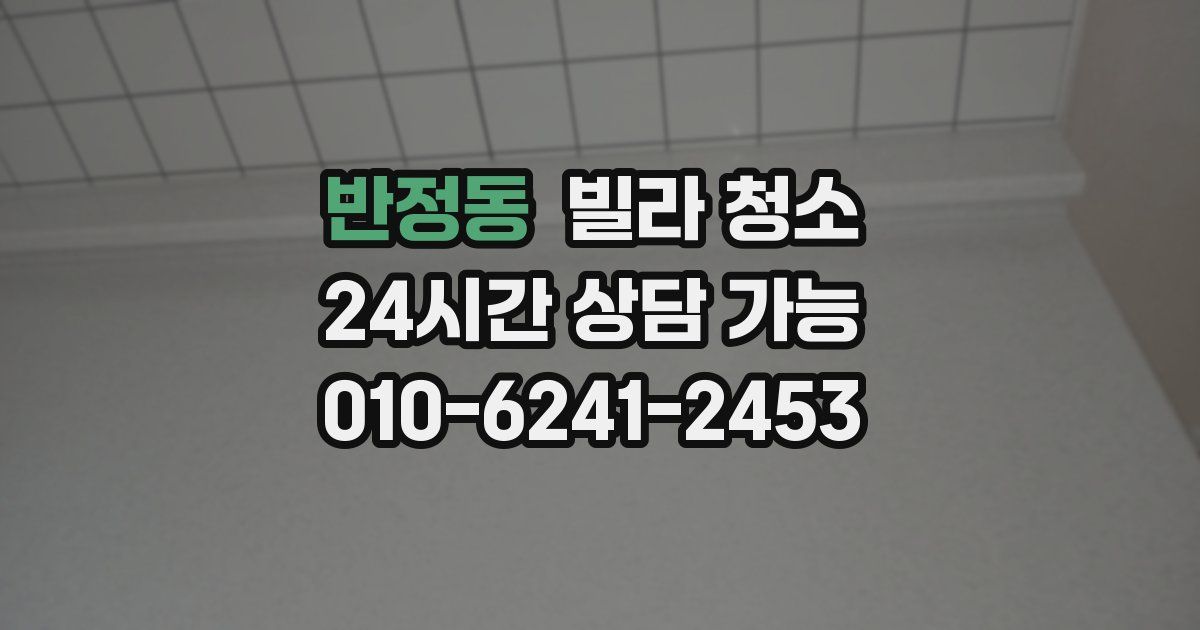 반정동 빌라 청소