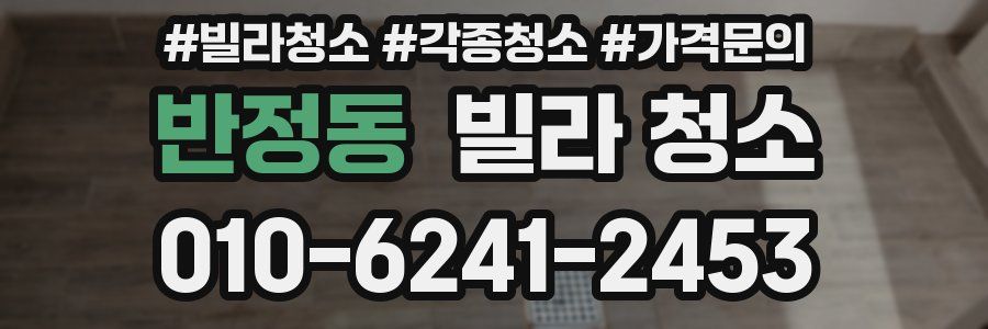 반정동 빌라 청소