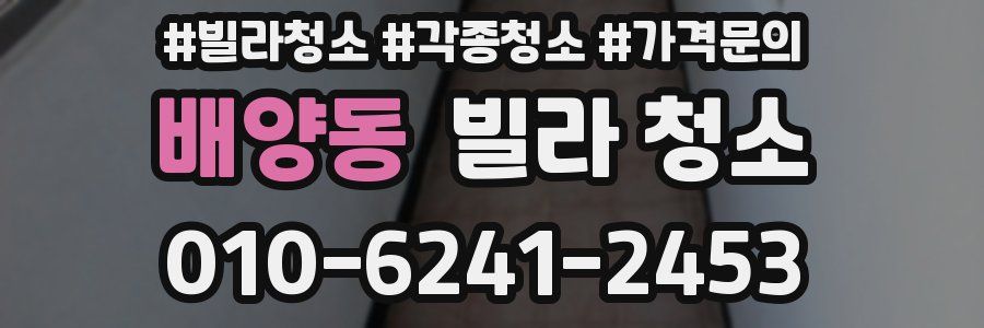 배양동 빌라 청소