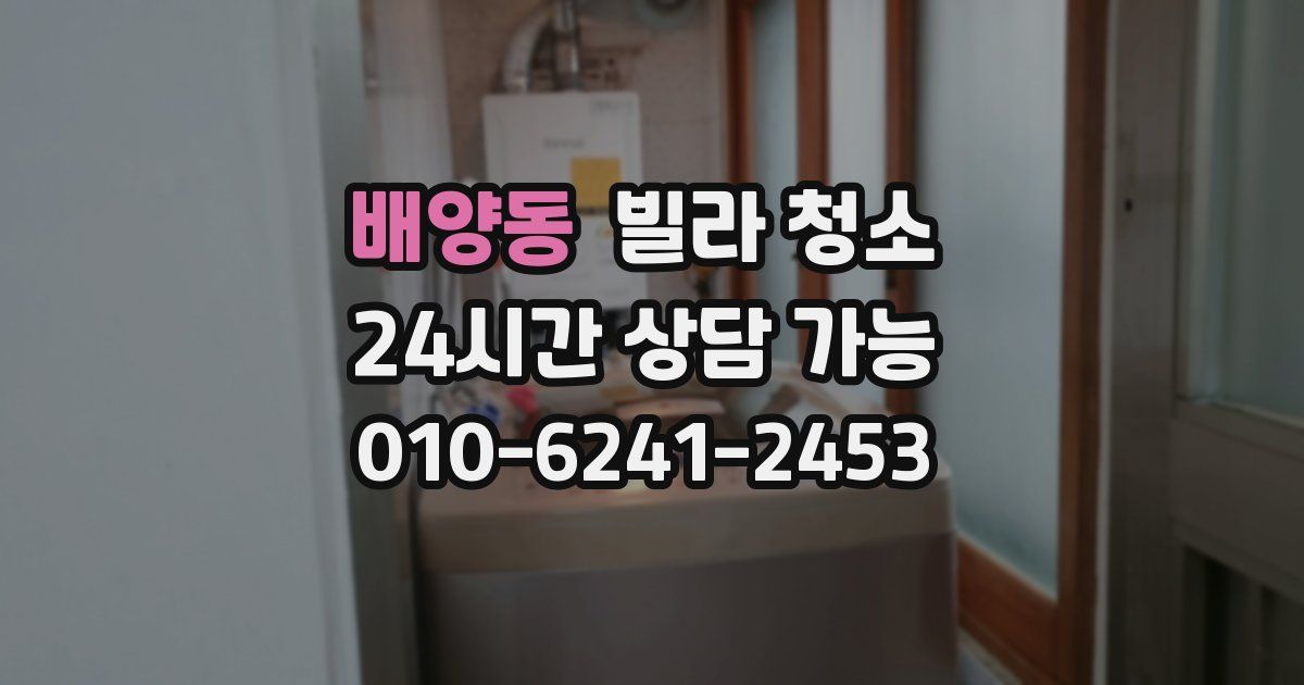 배양동 빌라 청소