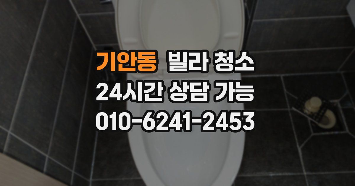 기안동 빌라 청소