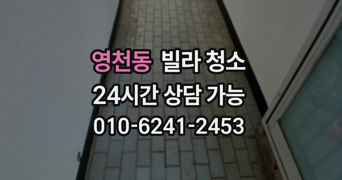 영천동 빌라 청소