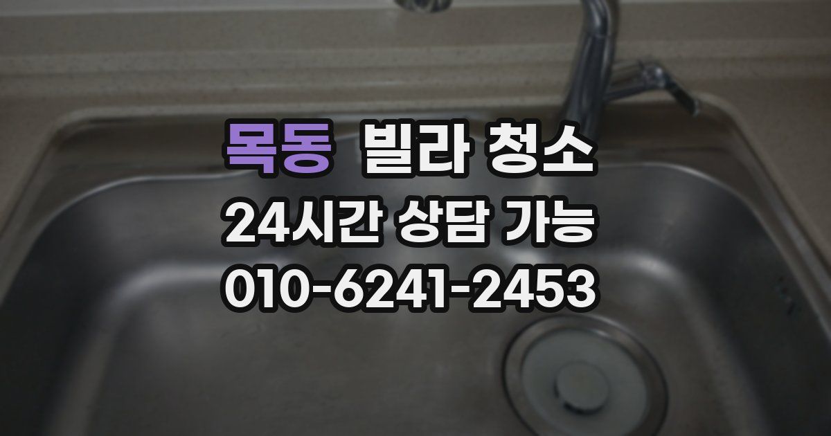 목동 빌라 청소